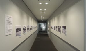 「1F廊下展示更新しました！」の写真