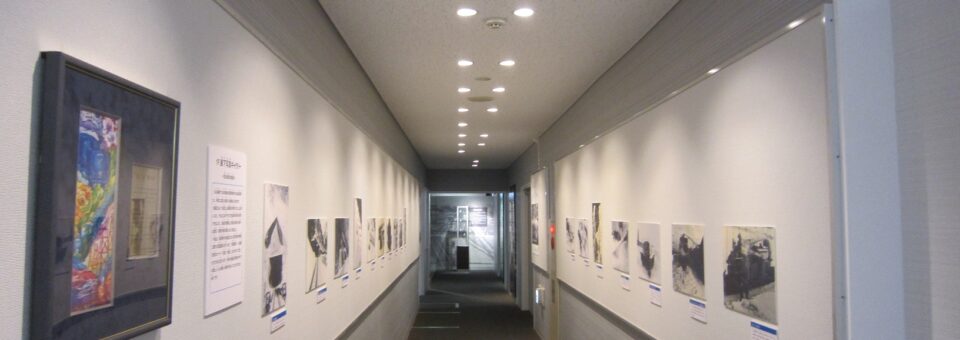 「本館・1F廊下展示更新しました！」の写真