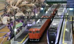 「鉄道模型走行会(新潟エンドレスクラブ)」の写真