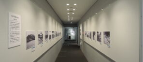 「1F廊下展示更新しました！」の写真